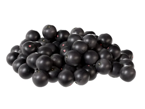 Acai Berry Pile 3D Model