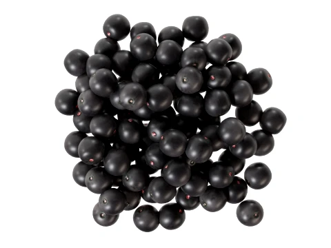 Acai Berry Pile 3D Model