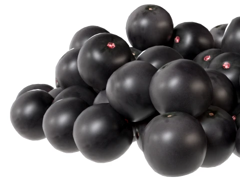 Acai Berry Pile 3D Model
