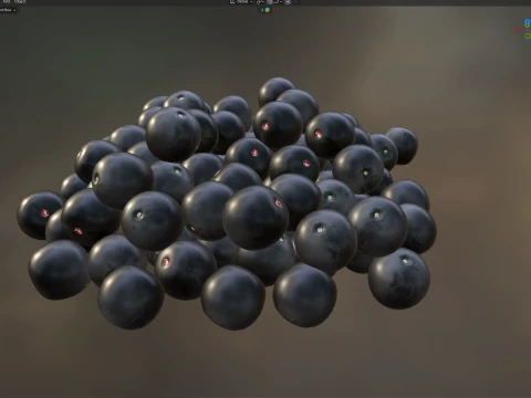 Acai Berry Pile 3D Model