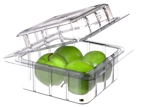Apple Green Box Plastic Transparent 3D Model