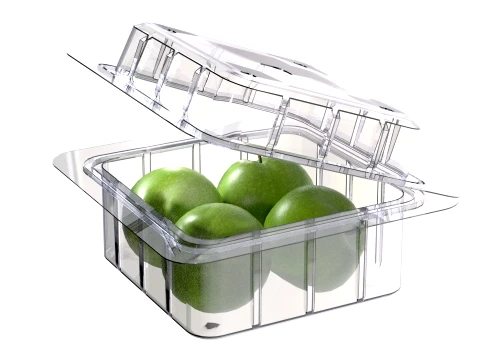 Apple Green Box Plastic Transparent 3D Model