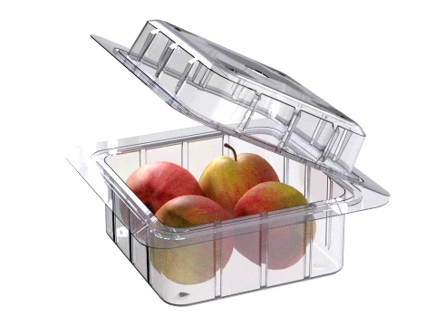 Apple Red Box Plastic Transparent 3D Model