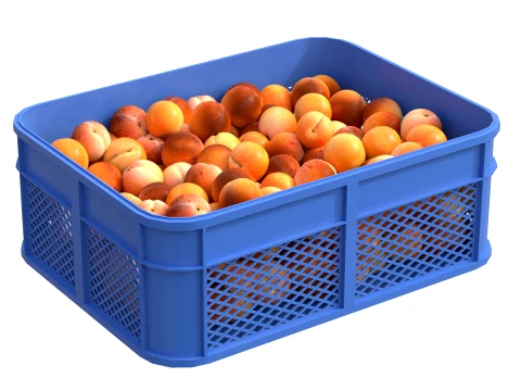 Apricot Plastic Crate 3D Model