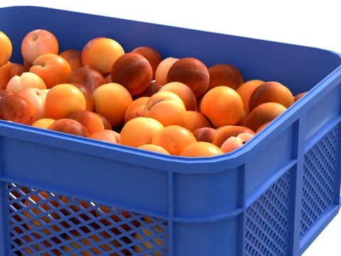 Apricot Plastic Crate 3D Model