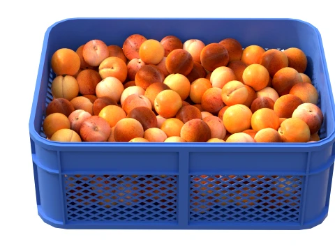 Apricot Plastic Crate 3D Model