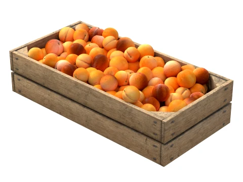 Apricot Wooden Crate 3D Model
