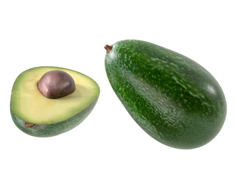 Avocado 3D Modell