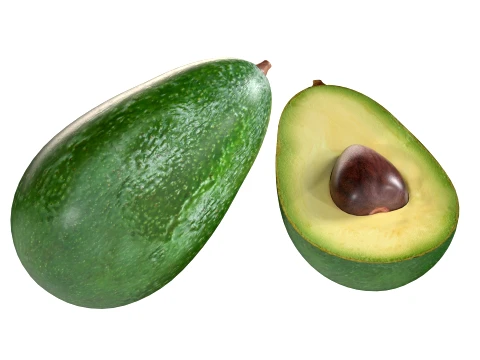 Avocado 3D Model