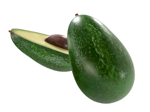 Avocado 3D Model