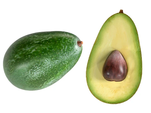 Avocado 3D Model