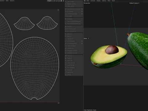 Avocado 3D Model
