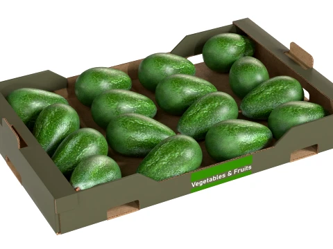 Avocado Cardboard Fruit Box 3D Model