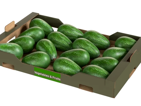Avocado Cardboard Fruit Box 3D Model