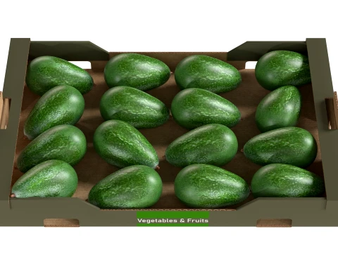 Avocado Cardboard Fruit Box 3D Model
