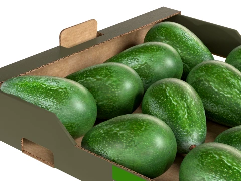 Avocado Cardboard Fruit Box 3D Model