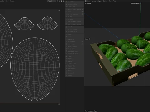 Avocado Cardboard Fruit Box 3D Model