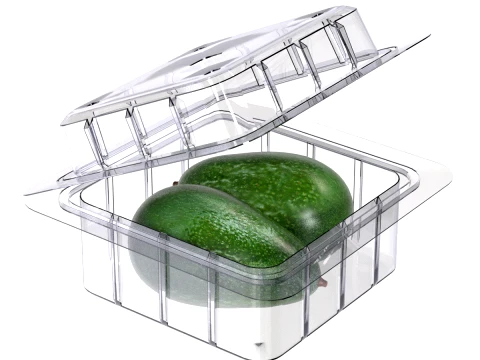 아보카도 과일 상자 플라스틱 투명 3D 모델