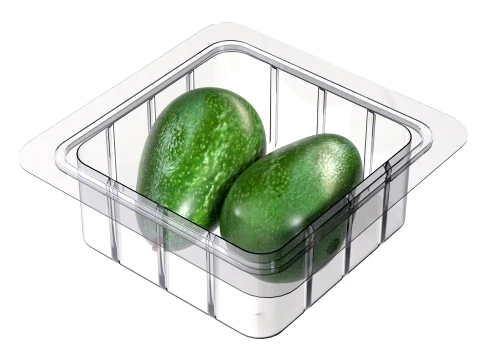 Avocado Fruit Box Plastic Transparent 3D Model
