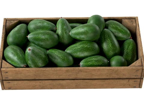 Avocado Wooden Crate 3D Model