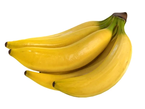 Banana Bunch 3D Model