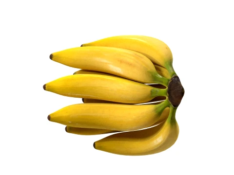 Banana Bunch 3D Model