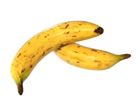 Bananen-Single 3D Modell