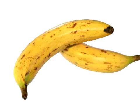 Banana Single 3D Model
