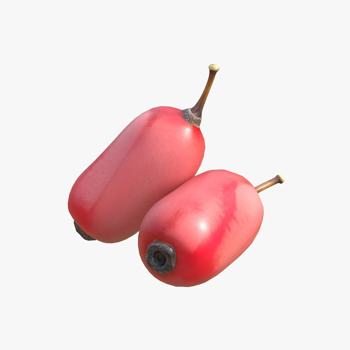 Berberis Fruit 3D Model .c4d .max .obj .3ds .fbx .stl .blend 