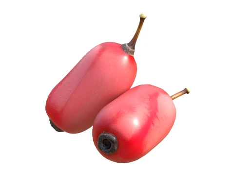 Berberisfrucht 3D Modell