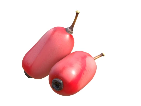 Berberis Fruit 3D Model