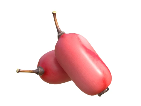 Berberis Fruit 3D Model