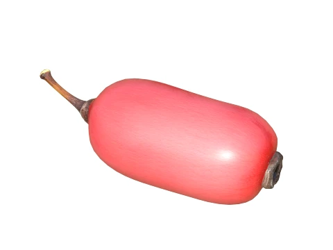 Berberis Fruit 3D Model