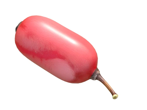 Berberis Fruit 3D Model