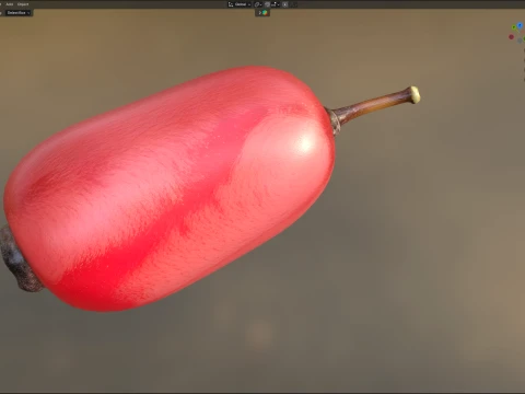 Berberis Fruit 3D Model