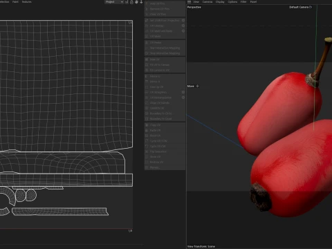 Berberis Fruit 3D Model