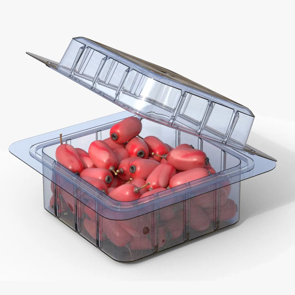 Berberis Fruit Box Plastic Transparent 3D Model .c4d .max .obj .3ds .fbx .stl .blend