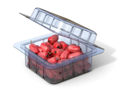Berberis Fruit Box Plastic Transparent 3D Model
