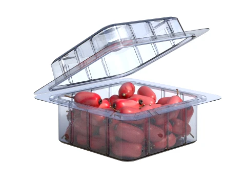 Berberis Fruit Box Plastic Transparent 3D Model