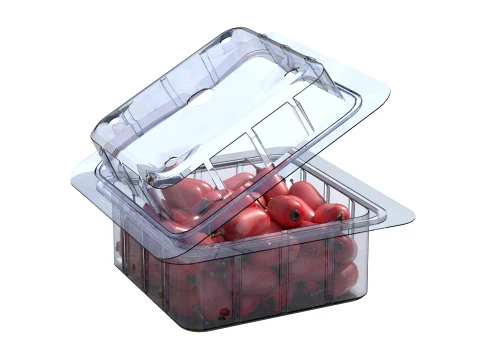 Berberis Fruit Box Plastic Transparent 3D Model