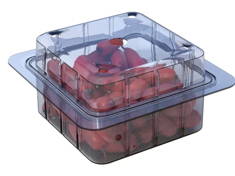 Berberis Fruit Box Plastic Transparent 3D Model