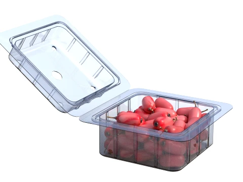 Berberis Fruit Box Plastic Transparent 3D Model