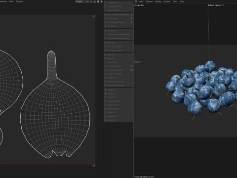 Mirtilo Modelo 3D