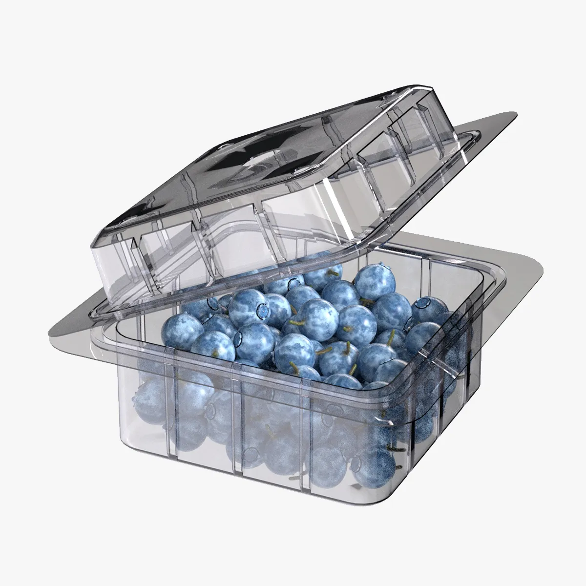Bilberry Fruit Box Plastic Transparent 3D Model .c4d .max .obj .3ds .fbx .stl .blend