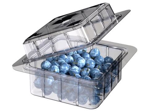 Heidelbeer-Obstkiste aus Kunststoff, transparent 3D Modell