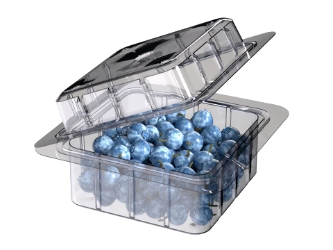 Bilberry Fruit Box Plastic Transparent 3D Model
