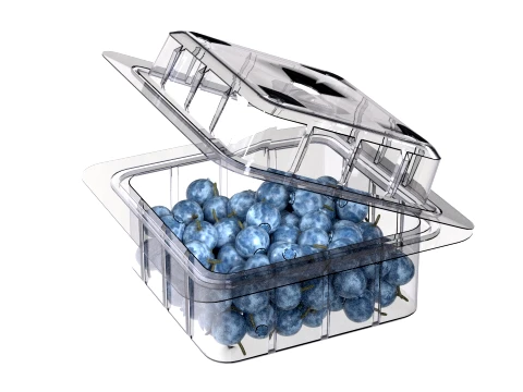 Bilberry Fruit Box Plastic Transparent 3D Model