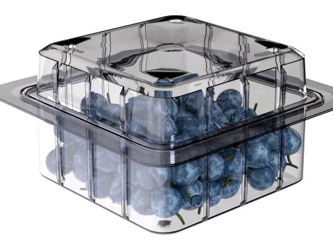 Bilberry Fruit Box Plastic Transparent 3D Model
