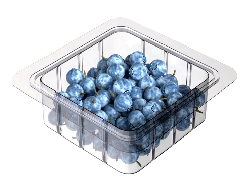Bilberry Fruit Box Plastic Transparent 3D Model