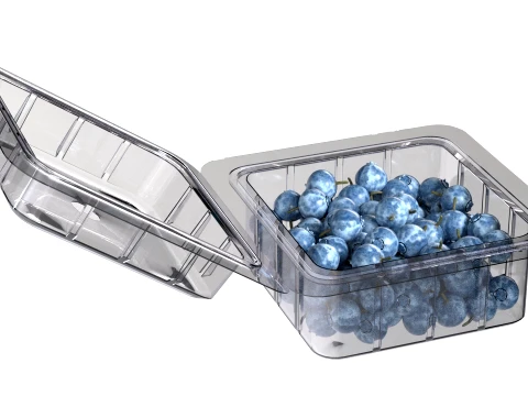 Bilberry Fruit Box Plastic Transparent 3D Model